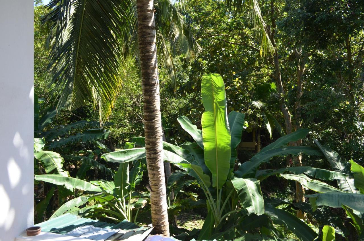 Hansa Villa Unawatuna Exteriör bild