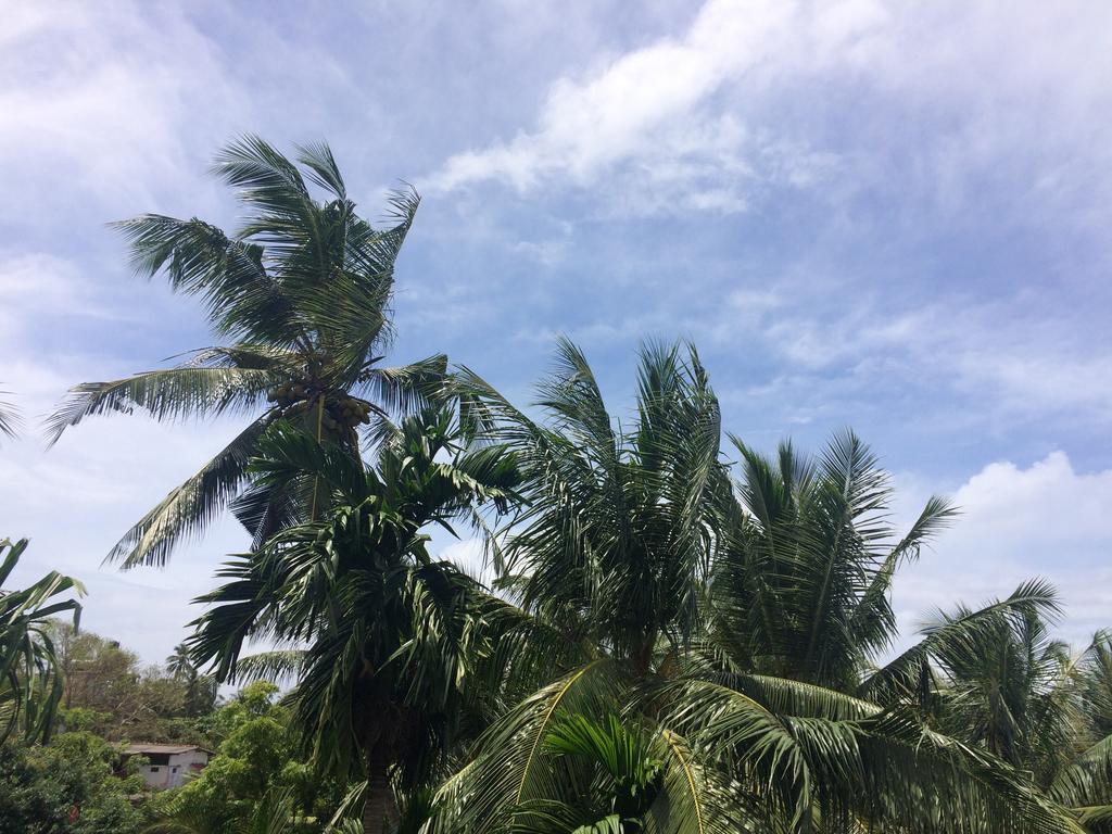 Hansa Villa Unawatuna Exteriör bild