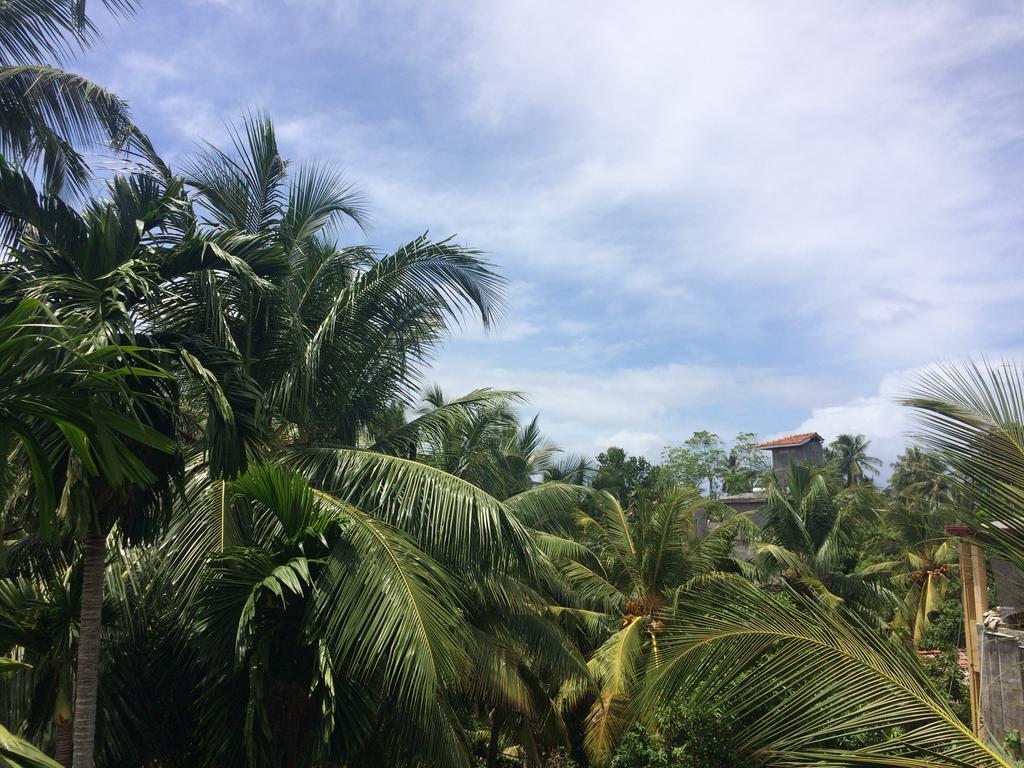 Hansa Villa Unawatuna Exteriör bild